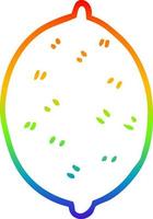 rainbow gradient line drawing cartoon lime fruit vector