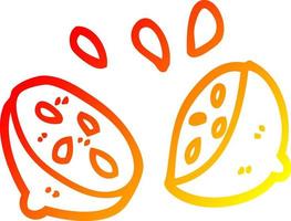 warm gradient line drawing cartoon halved lime vector