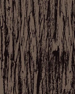 Tree Bark Grunge Background texture, Tree Bark Distressed texture Background