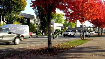 autumn street, maple tree, cars, Canada video