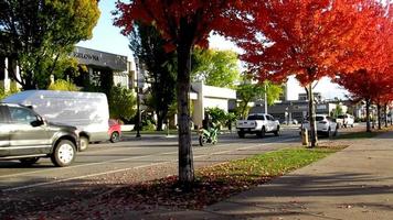 rue d'automne, érable, voitures, canada video