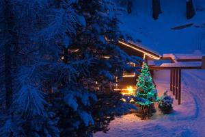 árbol de navidad decoración al aire libre foto