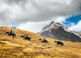 cuatro caballos con carga suben la montaña liderados por un jinete georgiano en el pintoresco parque nacional de kazbegi. escalar el pico de la montaña kazbek. los caballos llevan bolsas al campamento ayudando a los escaladores foto