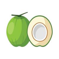 Coconut Flat design clip art vector illustration isolated on a white background