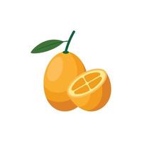 Ilustración de vector de arte de clip de diseño plano de kumquat aislado en un fondo blanco