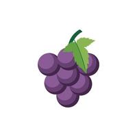 uvas diseño plano imágenes prediseñadas ilustración vectorial aislado en un fondo blanco vector