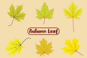 Autumn Leaf Fall vector