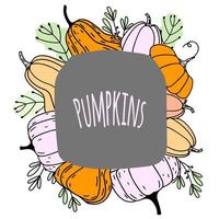 Thanksgiving and Harvest Festival Seasonal Vector Autumn Frame with Pumpkins, Plants, and Leaves. Trendy autumn design in doodle style.