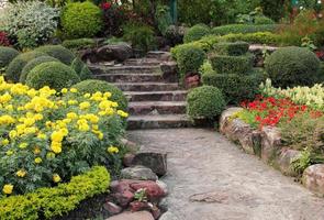 stone walkway in flower garden photo