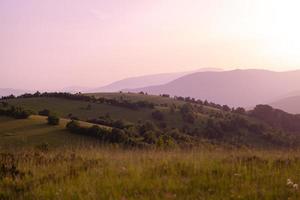 landscape nature summer photo