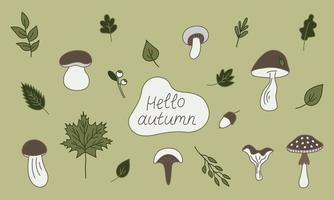 Autumn aesthetics forest set elements. Collection of different mushrooms and leaves on green background. Cute hand drawn doodle illustration. vector