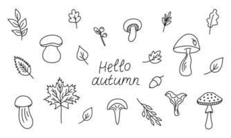 Autumn aesthetics forest set elements. Collection of different mushrooms and leaves. Cute outline hand drawn doodle illustration. vector