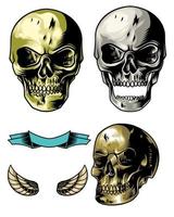 skull pack with ribbon and object vector