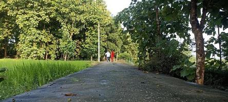 rural road background image photo