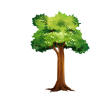 tree cartoon in painting style png