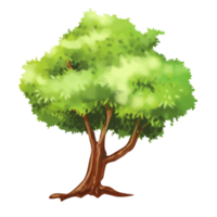 dessin animé d'arbre dans le style de peinture png