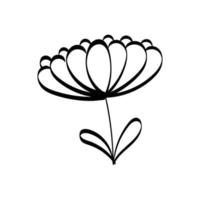 Floral Art.  flower drawing with line-art. vector