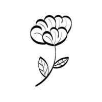 Floral Art.  flower drawing with line-art. vector