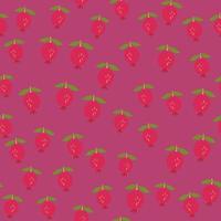 Seamless pattern with pomegranate fruit. Botanical fruits wallpaper. vector