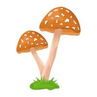 A flat illustrative vector of mushroom