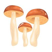 A flat illustrative vector of mushroom