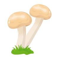 A flat illustrative vector of mushroom