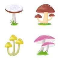 Flat Illustrations of Mushrooms vector