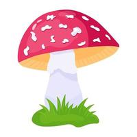 A flat illustrative vector of mushroom