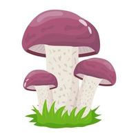 A flat illustrative vector of mushroom