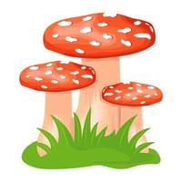 A flat illustrative vector of mushroom