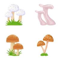 Flat Illustrations of Mushrooms vector