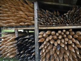 Pointed wood logs pattern photo