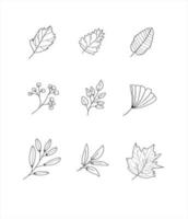 set of leaf vector illustration