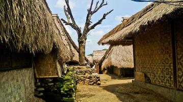 pueblo de sade, lombok, indonesia, junio de 2021- estado del pueblo tradicional de sade con casas de madera foto