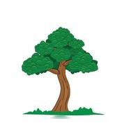 un solo árbol, un árbol fértil con hierba. Arbol alto. elemento forestal. vector