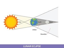 diagrama que muestra la ilustración del eclipse lunar en la tierra vector