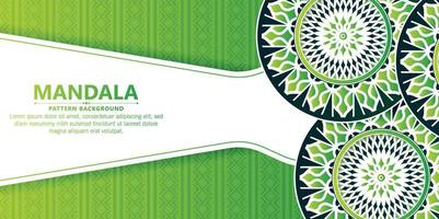 Green decorative mandala background vector