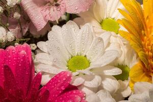 Decorative Flowers Bouquet photo