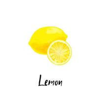 Illustration of a lemon isolated on a white background vector