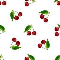 Seamless pattern with illustration of cherries on a white background vector