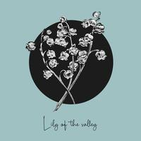 vector design illustration of lily of the valley flower. hand drawn illustration.