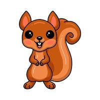 Cute little squirrel cartoon standing vector