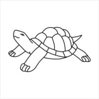 lindo lindo vector tortuga en estilo doodle