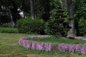 génova, italia - 27 de abril de 2017 - euroflora regresa a génova en el escenario único de los parques nervi foto