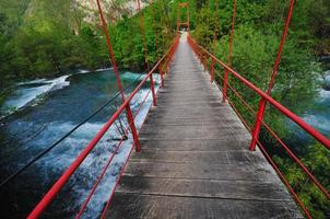 bridge river wild photo