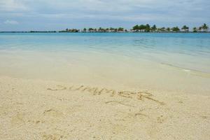 tropical beach landscape photo