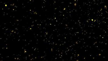 ciclo continuo 3d i fiocchi di neve stelle caduta su nero sfondo video