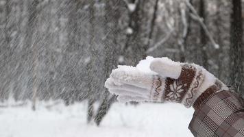 en skön ung oigenkännlig kvinna slag snö från henne handflatorna. de flicka står bland de vinter- skog och spelar med snö på en solig dag. kvinnas händer i vantar. långsam rörelse. video