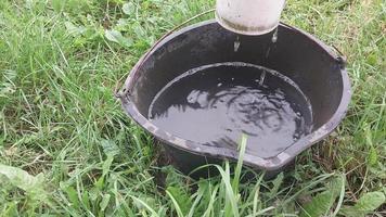 agua de lluvia que gotea de un desagüe en un balde video