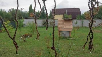 cuerda tejida colgando de un árbol video